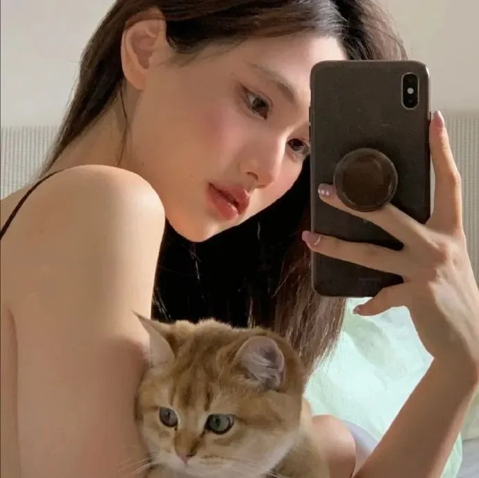 忠犬八公的故事